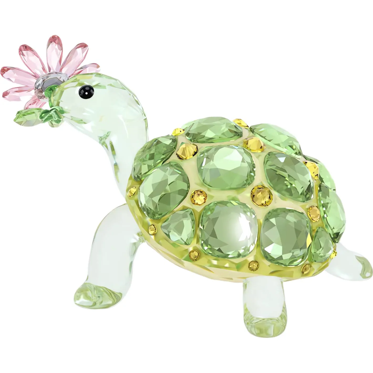 Idyllia Schildkröte und Margerite